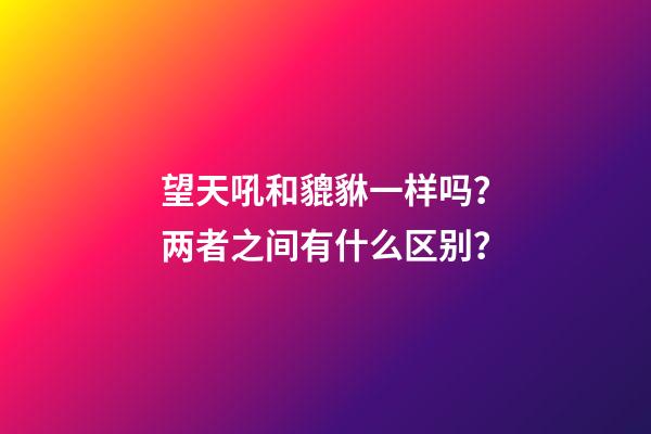 望天吼和貔貅一样吗？两者之间有什么区别？