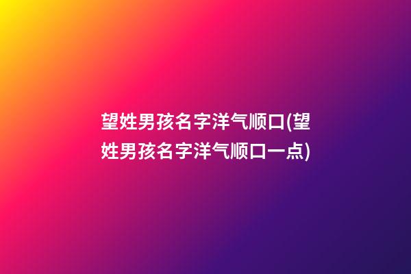 望姓男孩名字洋气顺口(望姓男孩名字洋气顺口一点)
