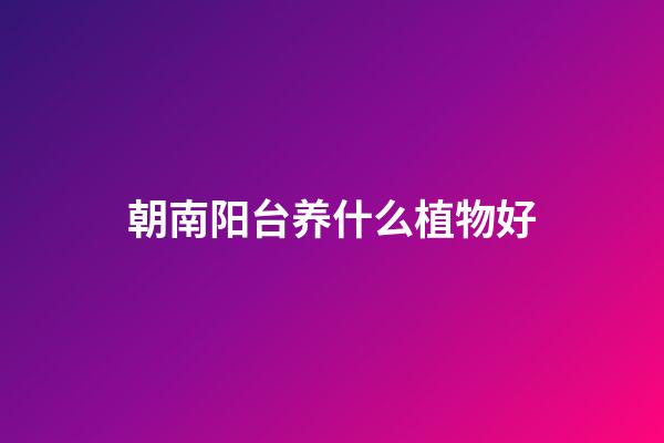 朝南阳台养什么植物好