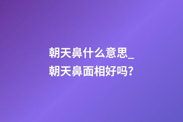 朝天鼻什么意思_朝天鼻面相好吗？
