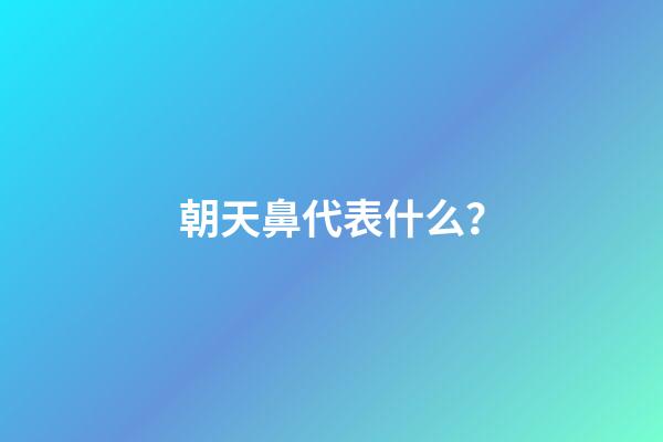 朝天鼻代表什么？