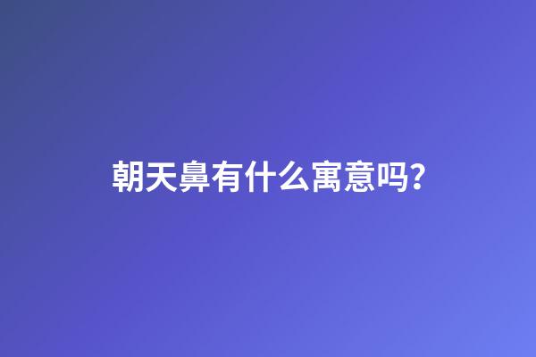 朝天鼻有什么寓意吗？