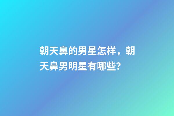 朝天鼻的男星怎样，朝天鼻男明星有哪些？