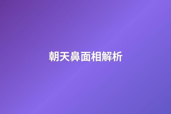 朝天鼻面相解析