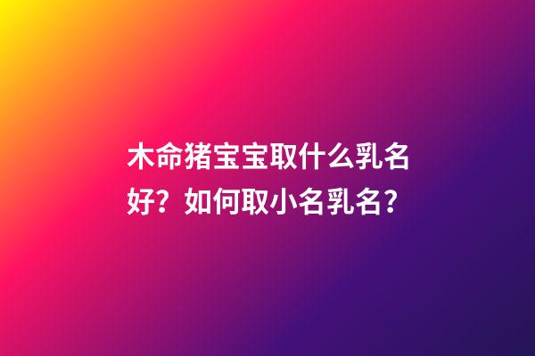 木命猪宝宝取什么乳名好？如何取小名乳名？