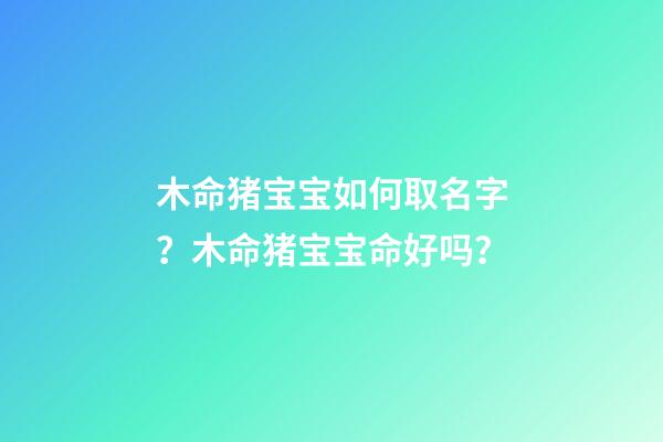 木命猪宝宝如何取名字？木命猪宝宝命好吗？