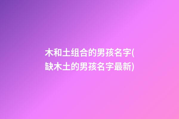 木和土组合的男孩名字(缺木土的男孩名字最新)