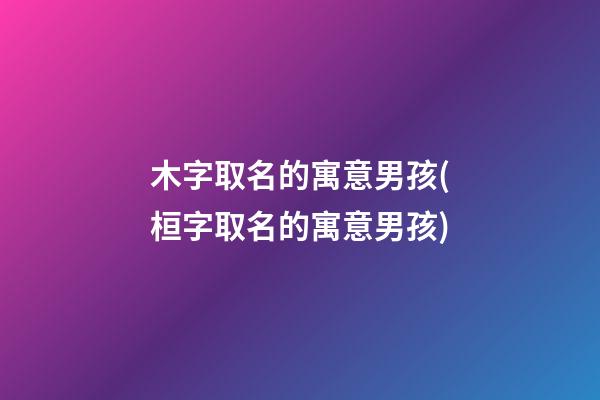 木字取名的寓意男孩(桓字取名的寓意男孩)