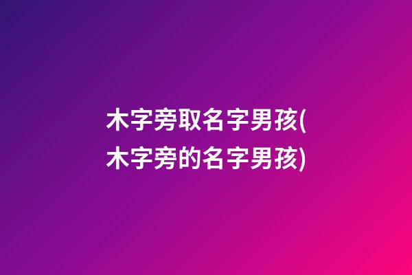 木字旁取名字男孩(木字旁的名字男孩)