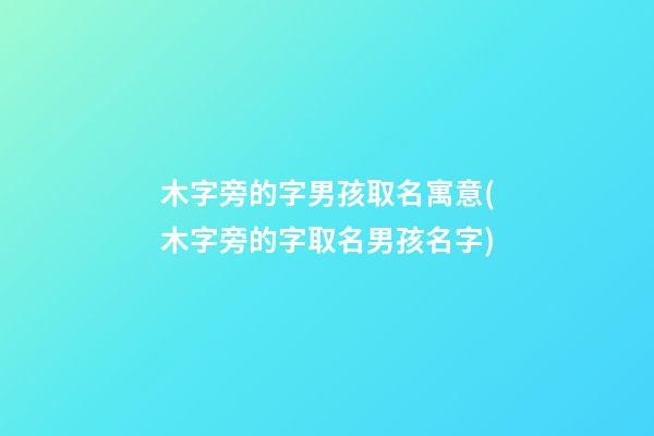 木字旁的字男孩取名寓意(木字旁的字取名男孩名字)
