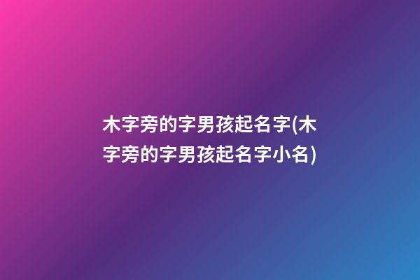 木字旁的字男孩起名字(木字旁的字男孩起名字小名)