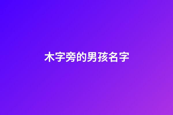 木字旁的男孩名字
