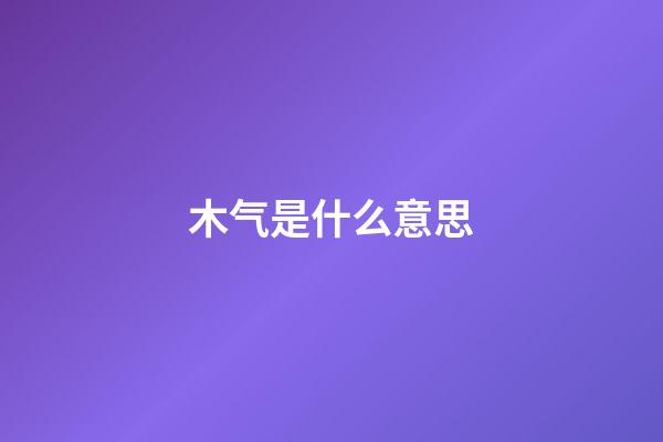 木气是什么意思