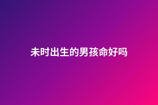 未时出生的男孩命好吗