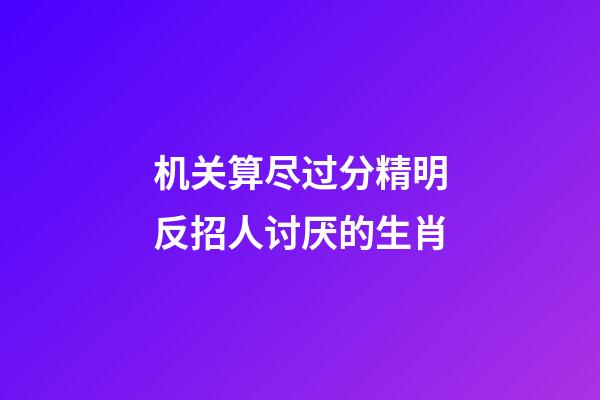 机关算尽过分精明反招人讨厌的生肖