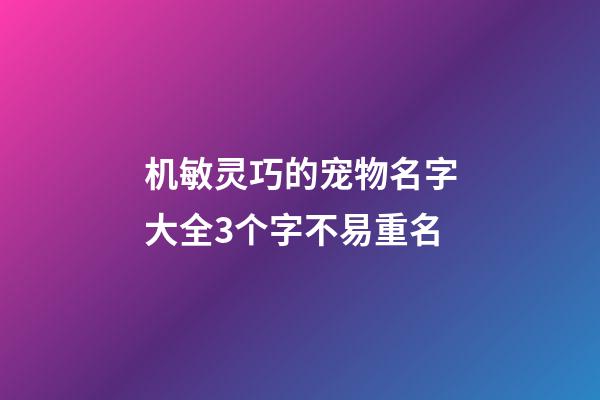 机敏灵巧的宠物名字大全3个字不易重名