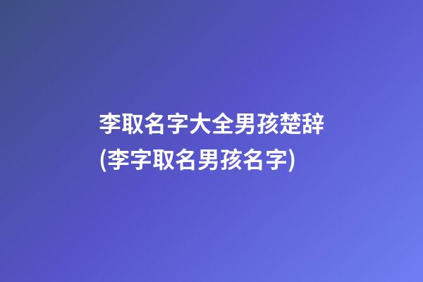 李取名字大全男孩楚辞(李字取名男孩名字)