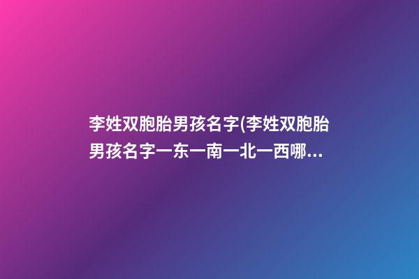 李姓双胞胎男孩名字(李姓双胞胎男孩名字一东一南一北一西哪两个好)