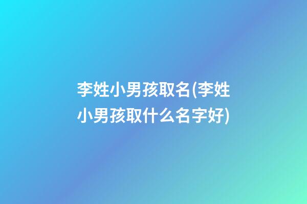 李姓小男孩取名(李姓小男孩取什么名字好)