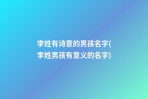 李姓有诗意的男孩名字(李姓男孩有意义的名字)
