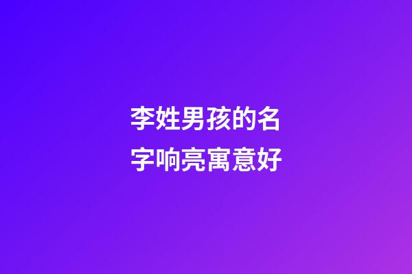 李姓男孩的名字响亮寓意好