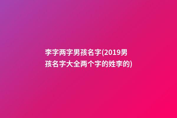 李字两字男孩名字(2019男孩名字大全两个字的姓李的)