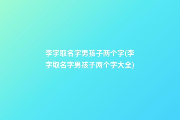李字取名字男孩子两个字(李字取名字男孩子两个字大全)