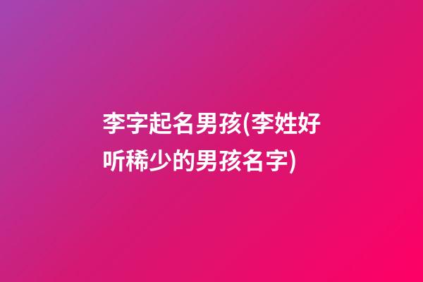 李字起名男孩(李姓好听稀少的男孩名字)