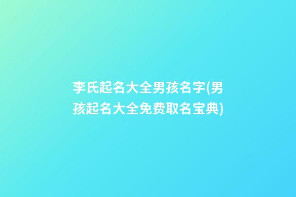 李氏起名大全男孩名字(男孩起名大全免费取名宝典)