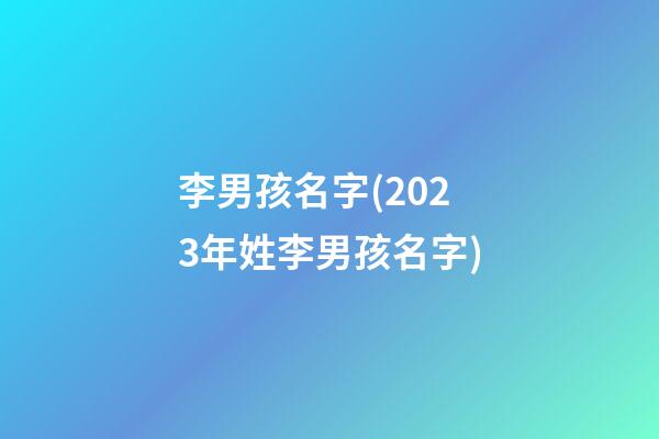 李男孩名字(2023年姓李男孩名字)