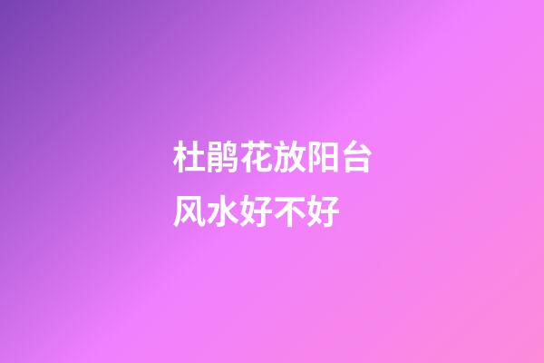 杜鹃花放阳台风水好不好