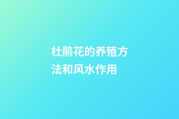 杜鹃花的养殖方法和风水作用