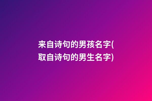 来自诗句的男孩名字(取自诗句的男生名字)