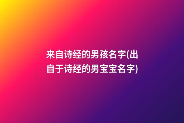 来自诗经的男孩名字(出自于诗经的男宝宝名字)