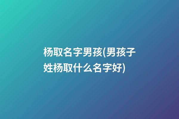 杨取名字男孩(男孩子姓杨取什么名字好)