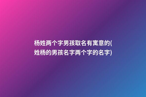 杨姓两个字男孩取名有寓意的(姓杨的男孩名字两个字的名字)