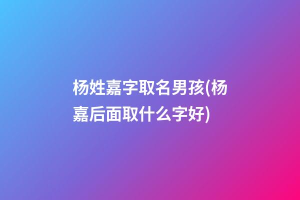 杨姓嘉字取名男孩(杨嘉后面取什么字好)