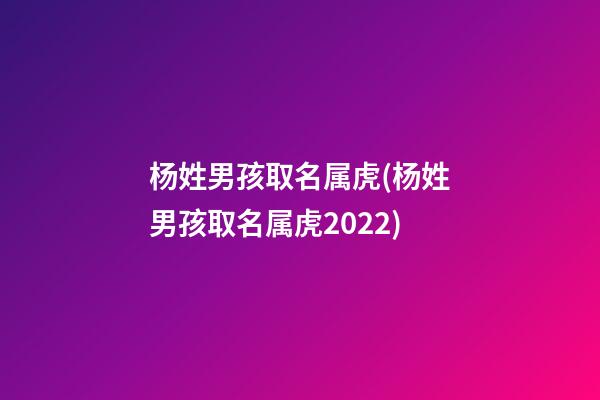 杨姓男孩取名属虎(杨姓男孩取名属虎2022)