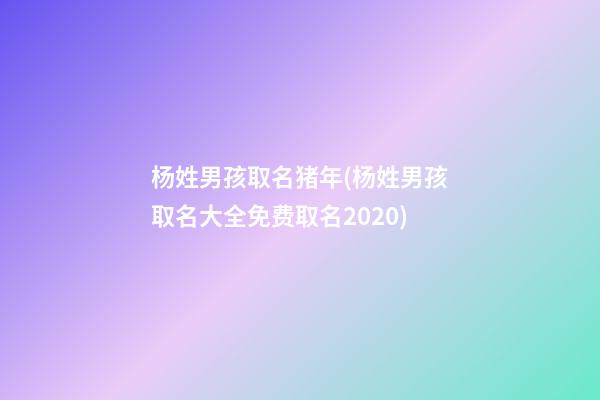杨姓男孩取名猪年(杨姓男孩取名大全免费取名2020)