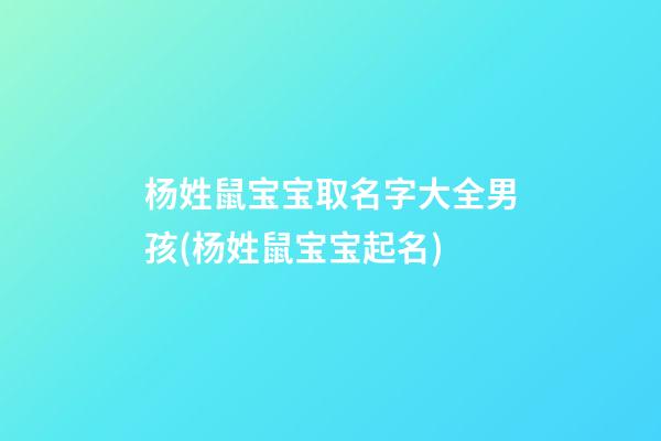 杨姓鼠宝宝取名字大全男孩(杨姓鼠宝宝起名)