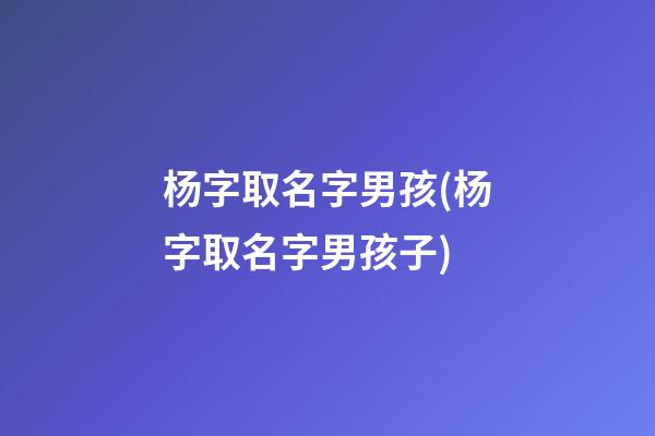 杨字取名字男孩(杨字取名字男孩子)