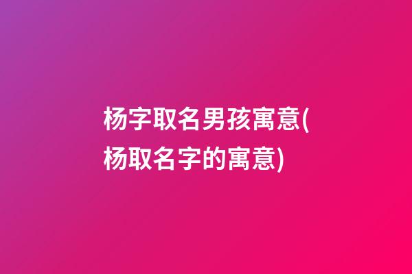 杨字取名男孩寓意(杨取名字的寓意)