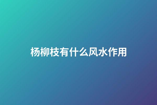 杨柳枝有什么风水作用