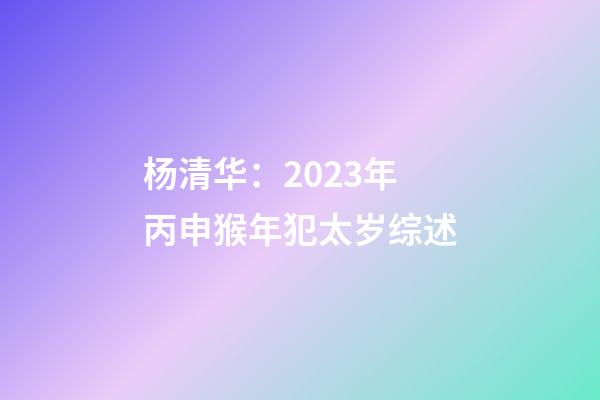 杨清华：2023年丙申猴年犯太岁综述
