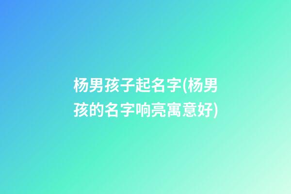 杨男孩子起名字(杨男孩的名字响亮寓意好)
