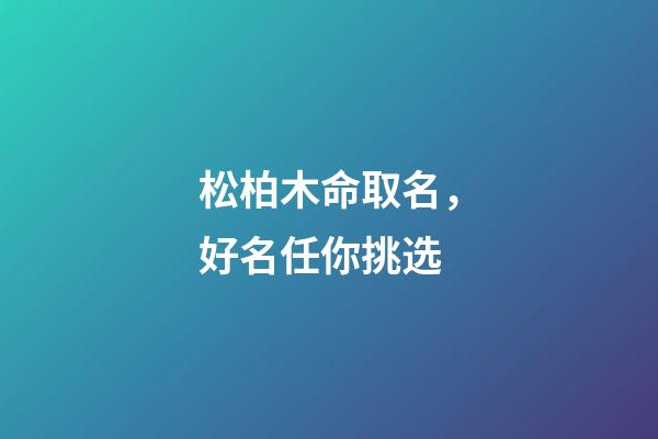 松柏木命取名，好名任你挑选
