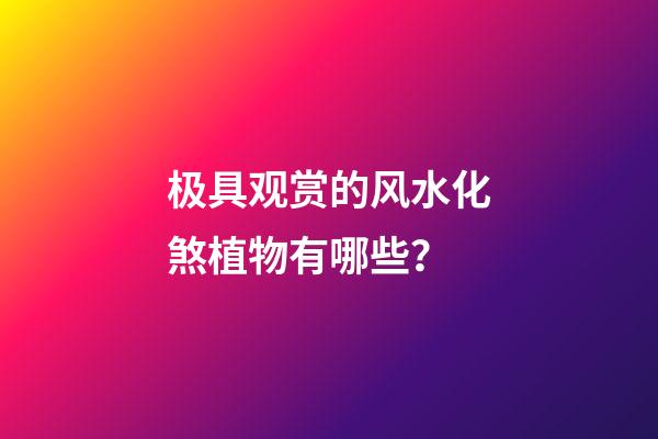 极具观赏的风水化煞植物有哪些？