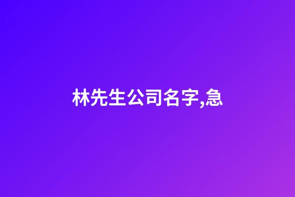 林先生公司名字,急