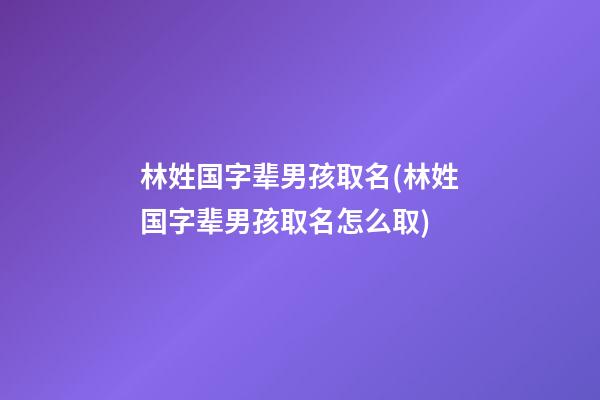 林姓国字辈男孩取名(林姓国字辈男孩取名怎么取)