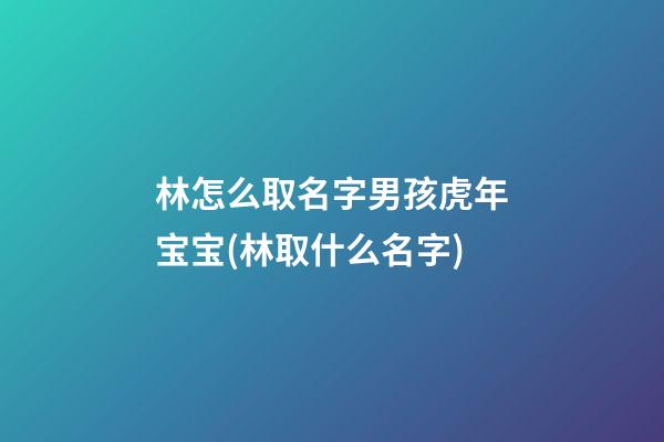 林怎么取名字男孩虎年宝宝(林取什么名字)